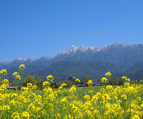 香格里拉旅游