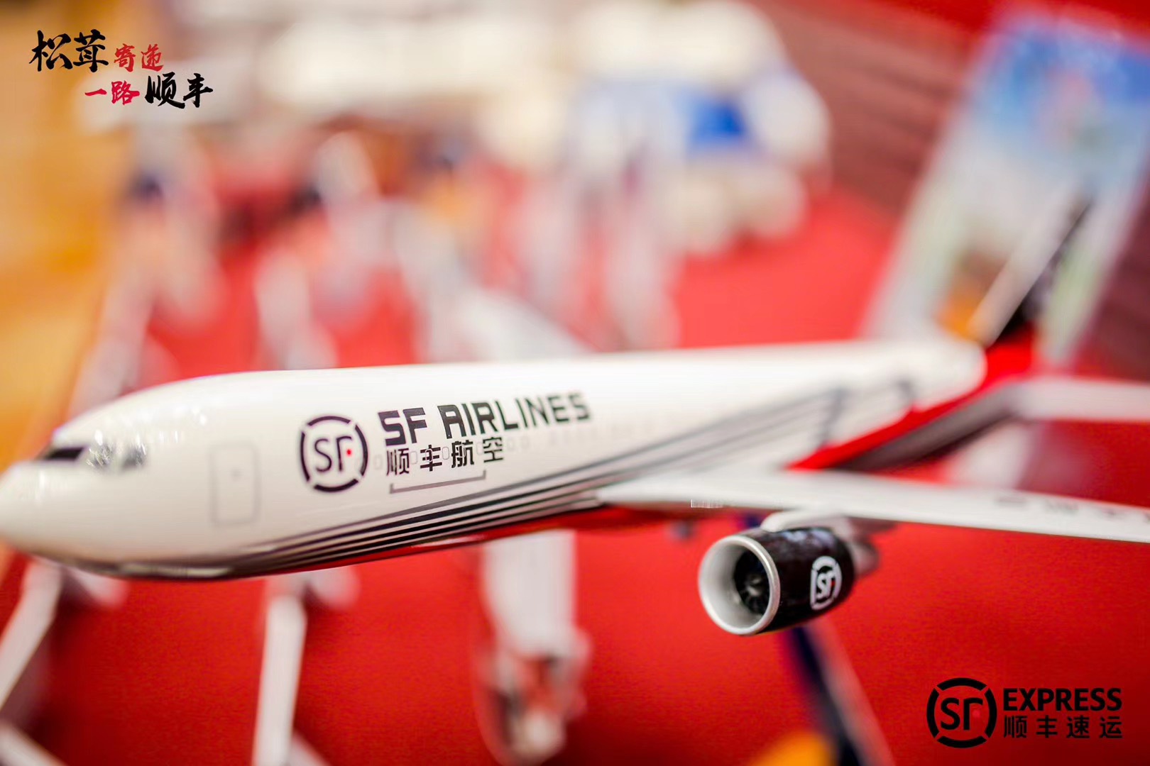 2020順豐速運松茸發布會在云南迪慶州香格里拉市召開